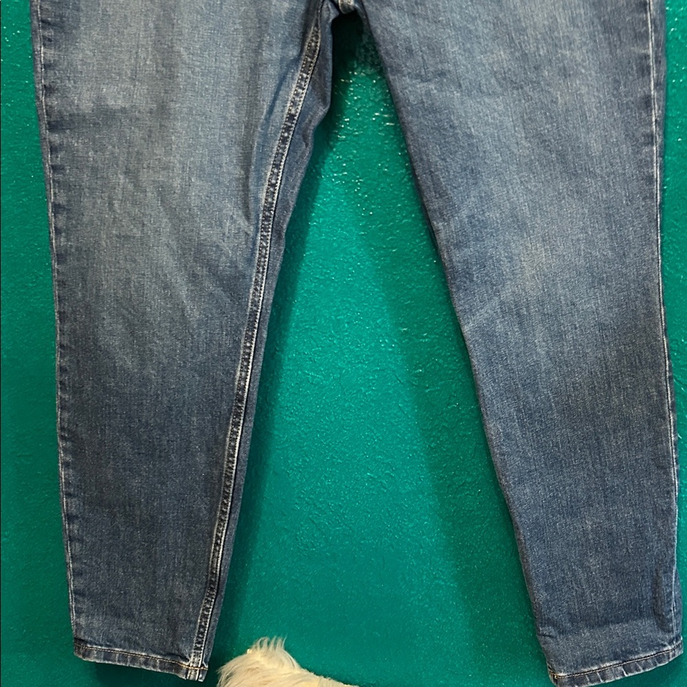 EVERLANE 31 ankle Denim Jeans - Picture 6 of 8